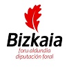 Diputación Foral Bizkaia